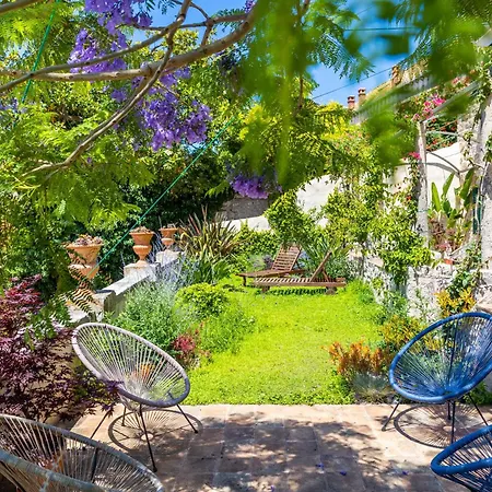 Ani Ariel Apartament